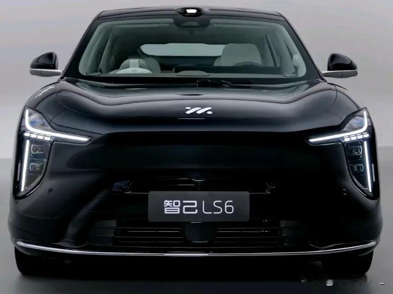 2026买车推荐：1、要面子一一买特斯拉2、要舒服一一买理想3、要科技感一