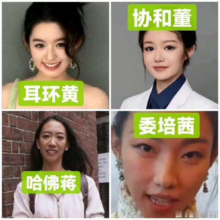 网友总结：天龙人们不满足财富的继承，而是想要阶级继承，彻底垄断普通人的上升路…继