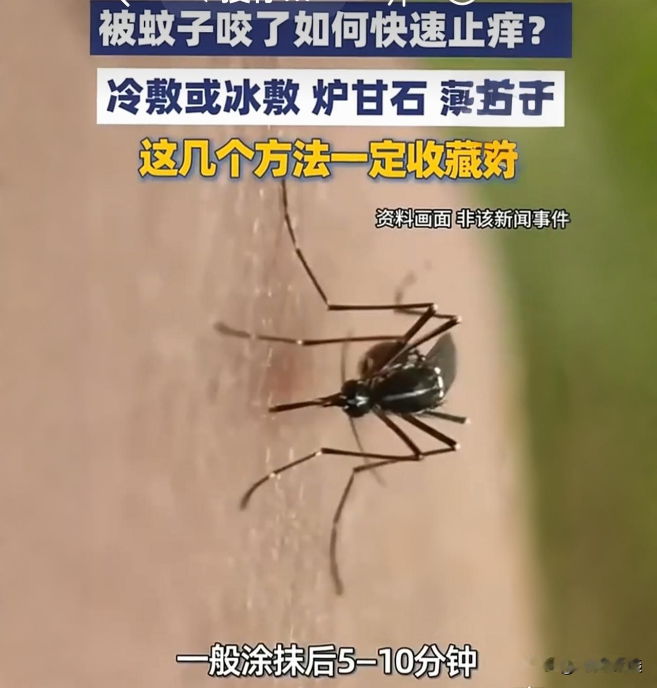 夏天蚊子咬，千万别再掐十字了！医生曝光的这些操作，90%的人都在做错痒！痒！