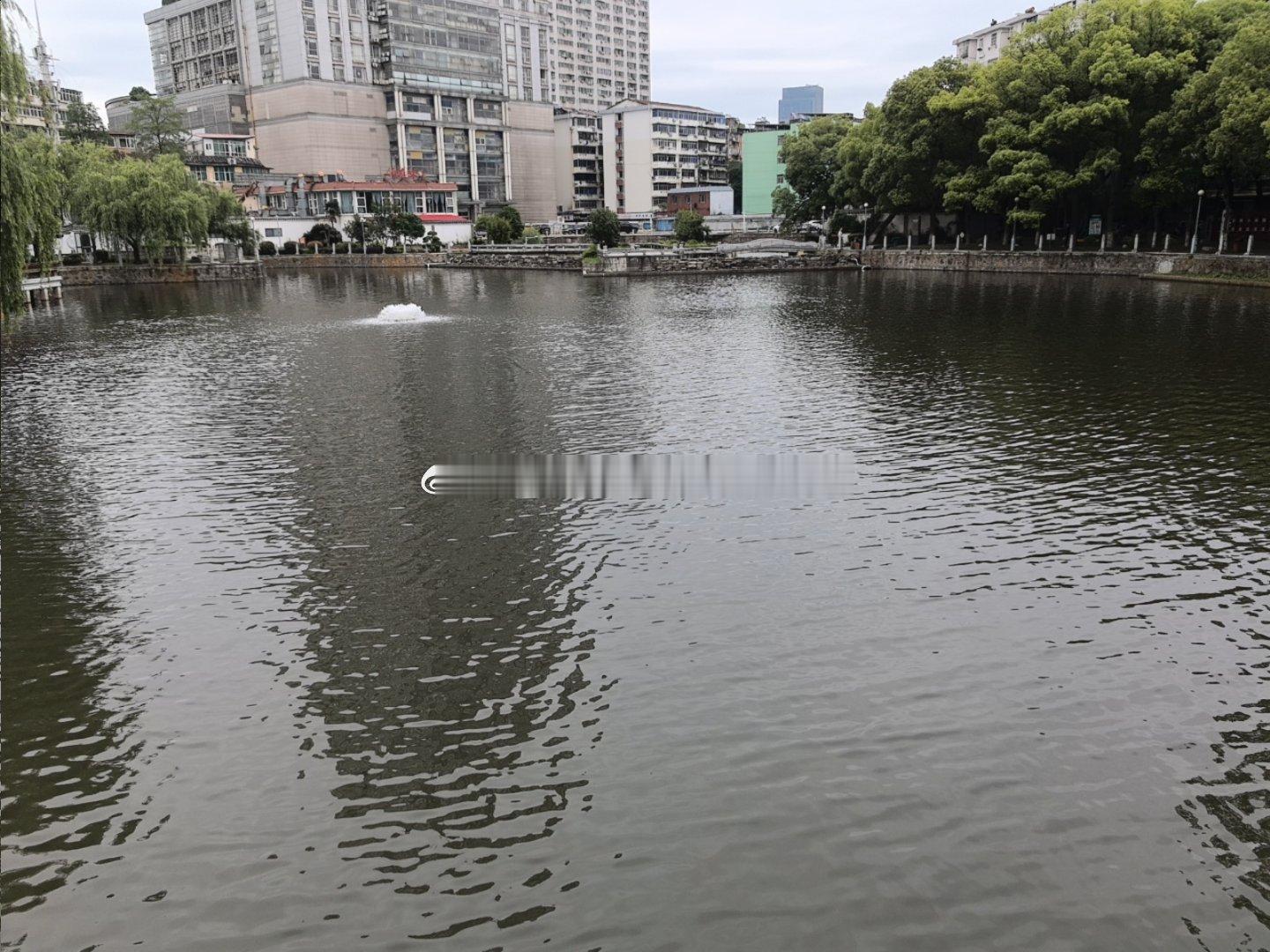 【英雄城交通•综合|重磅！我市这个区“十五五”规划正式对外发布】南昌稳中求进