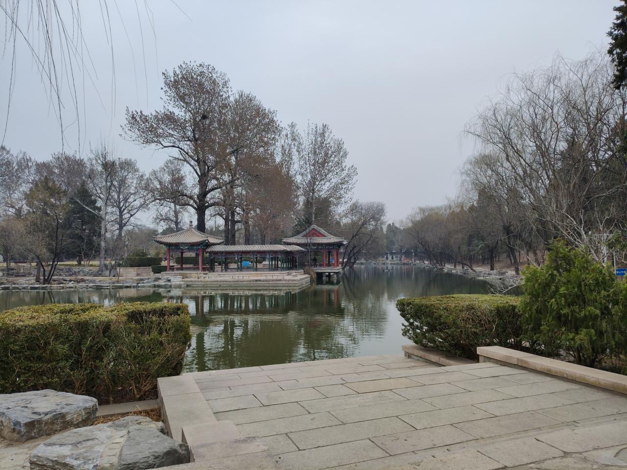 现在招老师，如果是研究生学历就可以，不是师范类毕业生。个人觉得学历高，不见得会教