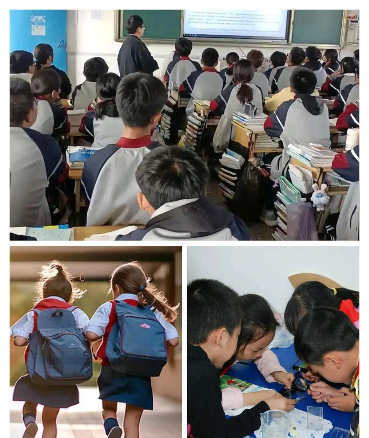 我们究竟在培养孩子什么？我们拼了命花大价钱培养孩子考100分，是不是在培养他