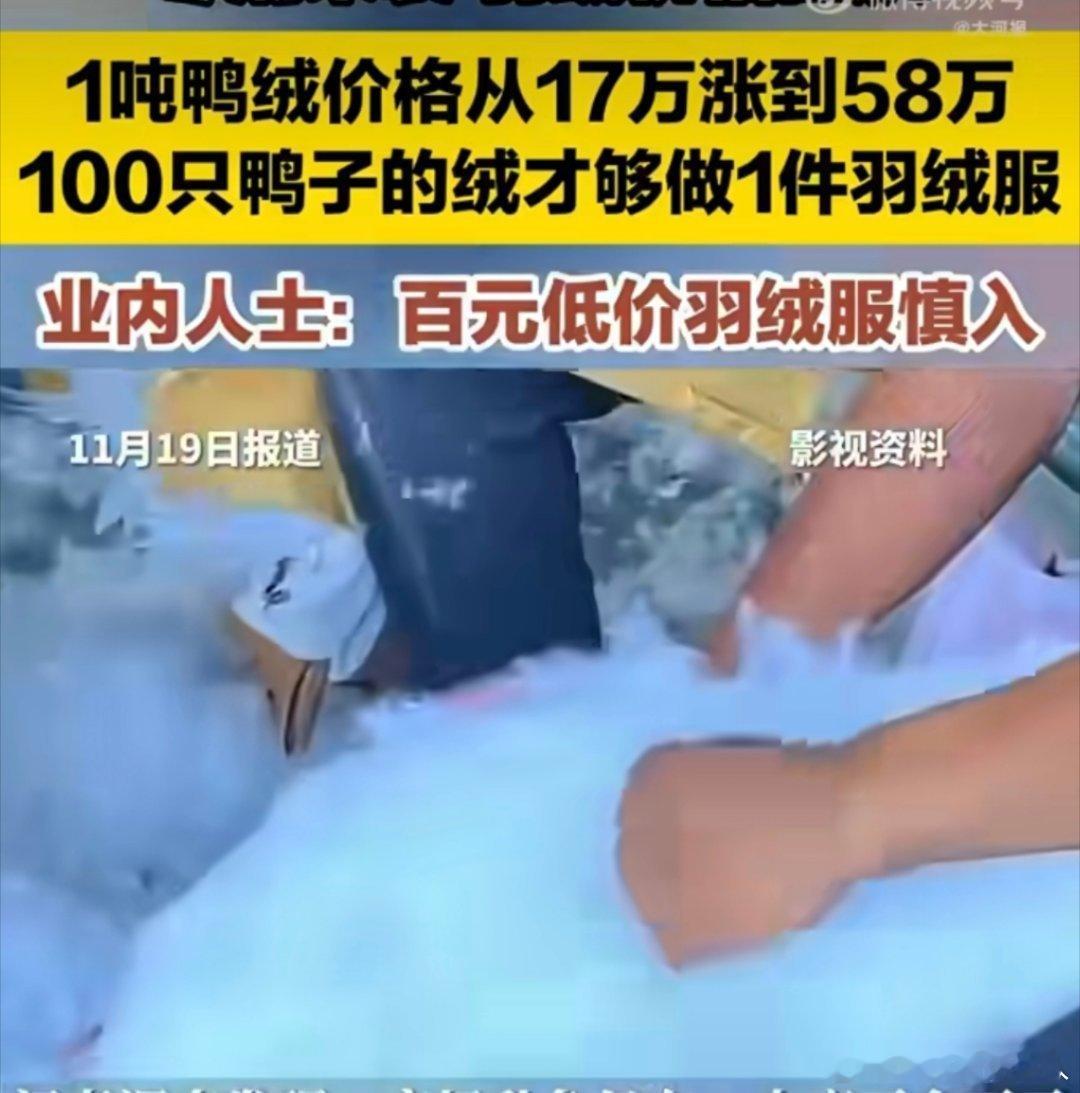 现在网上很多三四百的羽绒服，而且有些大品牌也有卖，不知道还能不能买，现在广东已经