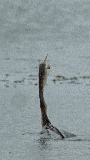 什么才是真正的死里逃生，这也许就是最好的答案吧？