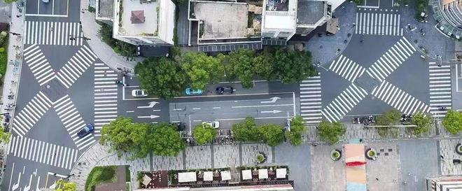 禁售! 上海12月1日起正式实施! 丨静宝聊天室