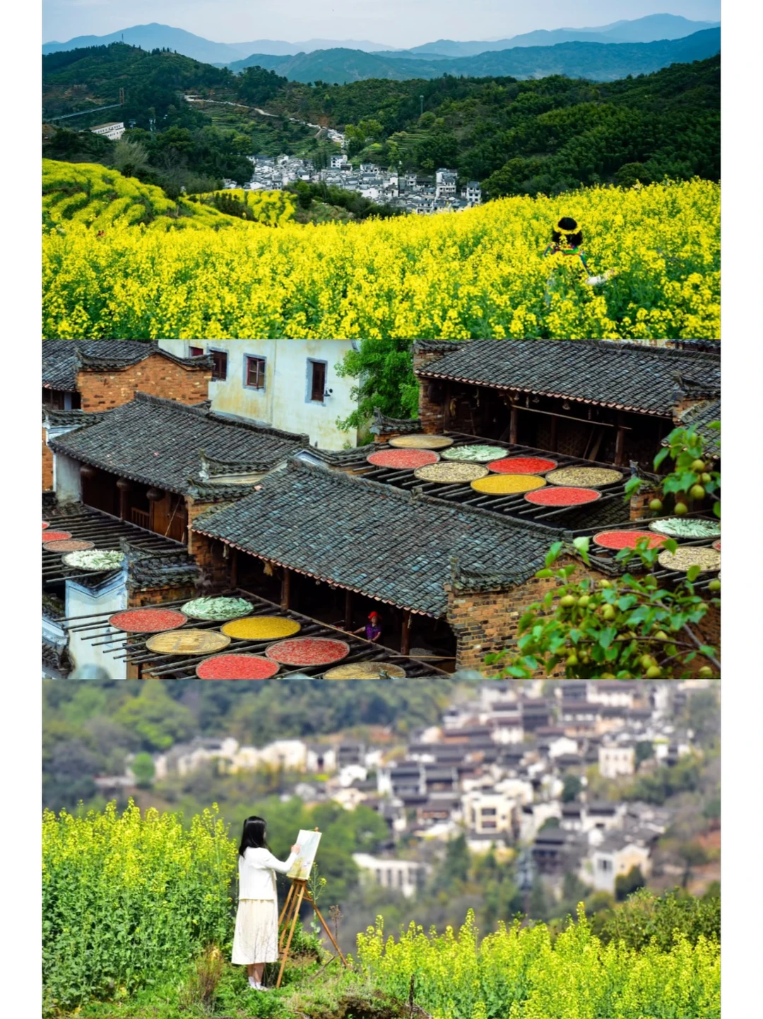 中国最长春天｜篁岭二期油菜花2天1晚攻略