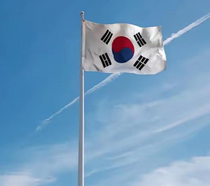 韩国也警惕起来了！韩国官方媒体突然曝出重磅消息，日本自卫队正在疯狂推进战备。