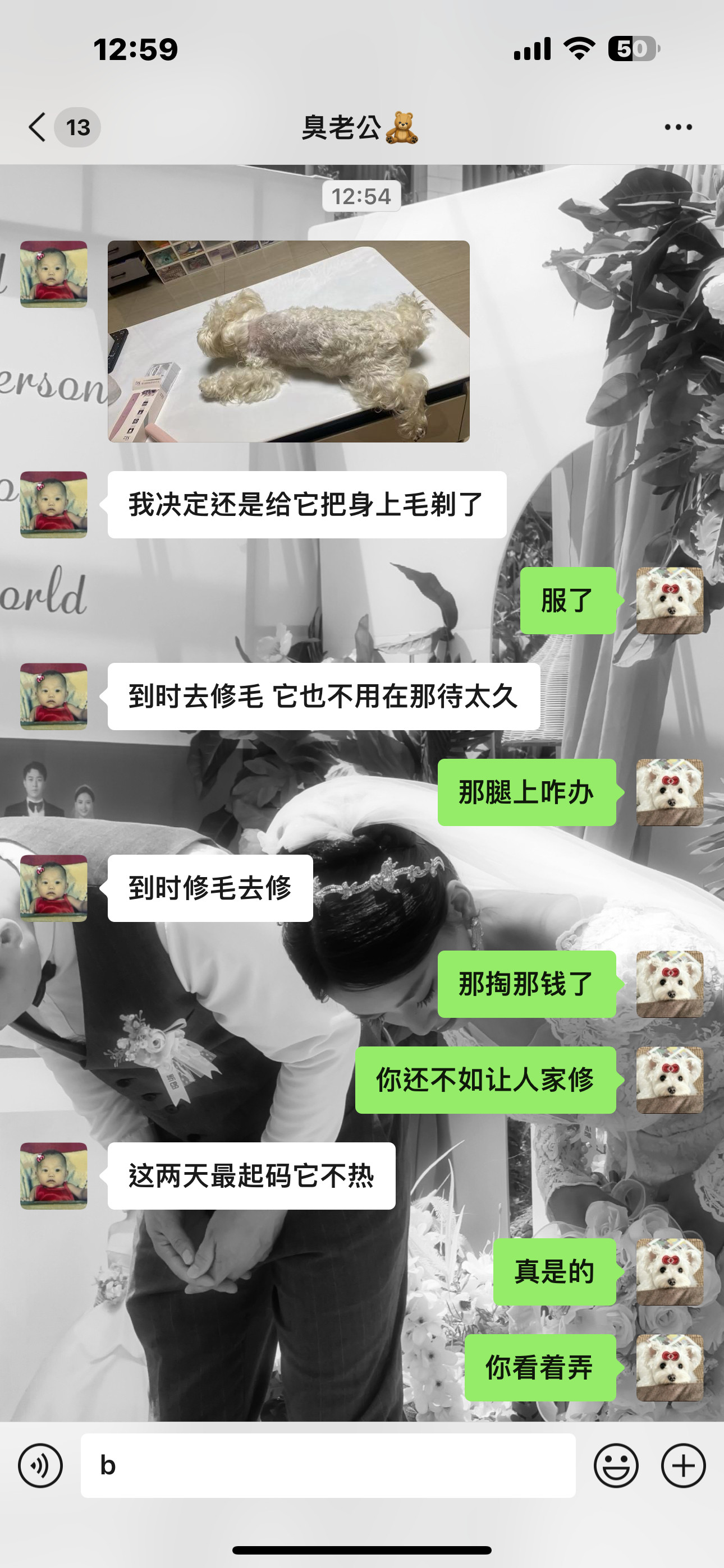 无法理解…