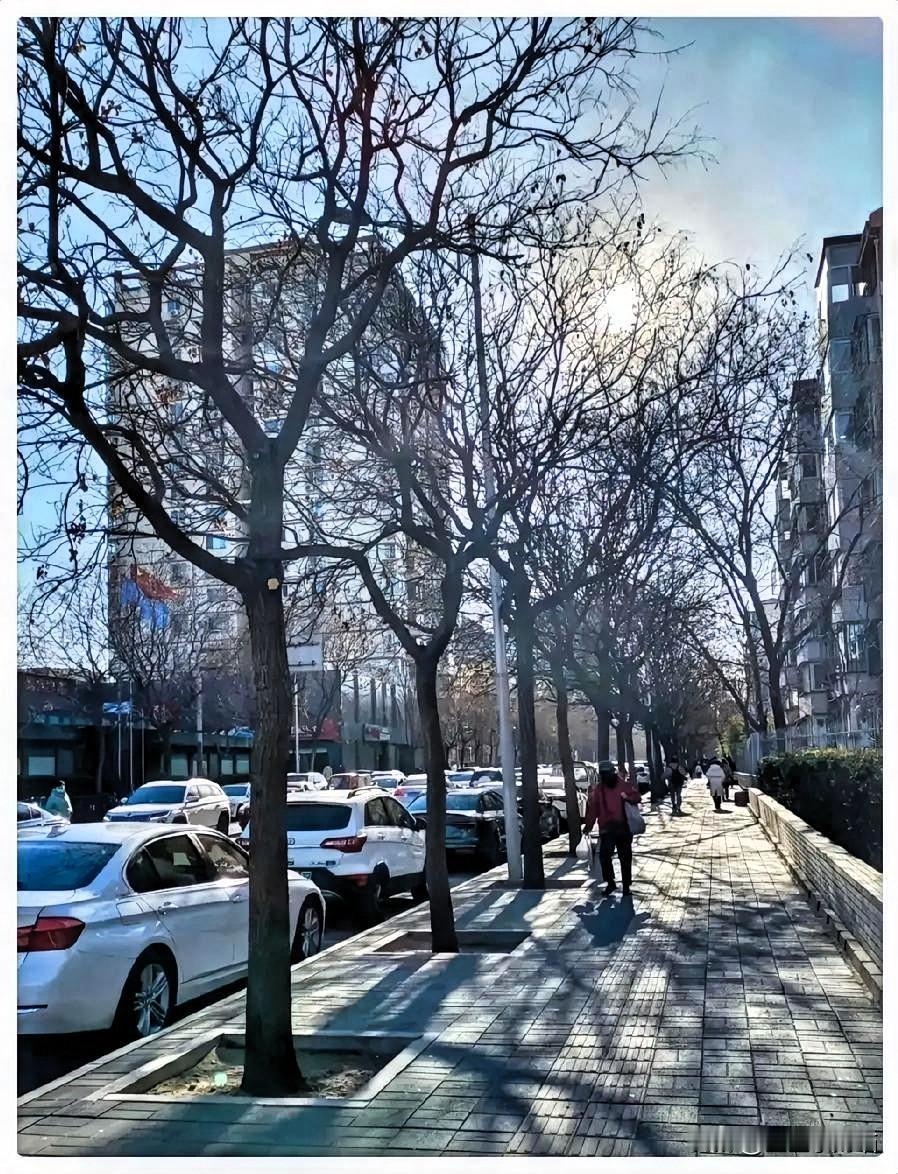 提前通知大家，大家也好有个心理准备，再过2天，也就是1月8号就正式进入三九