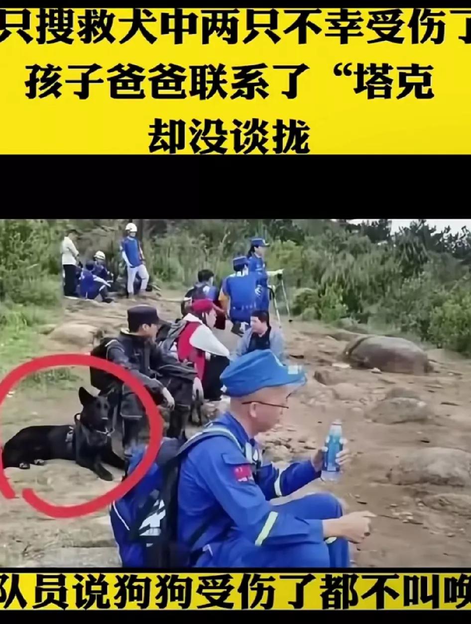 福建8岁失联男童，父亲没有使用搜救犬“塔克”，可能几万块的费用，对他来说很难承受
