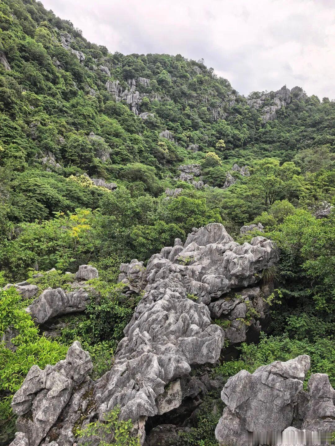 江浙沪暑期小众研学天花板！新晋世界地质公园常山太适合短途出游✨手握全国首枚金钉子