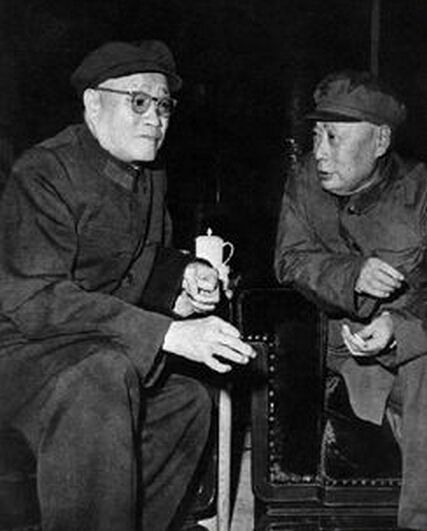 在那个特殊的年代，身经百战饱经沧桑的两位老帅，会谈些什么呢？