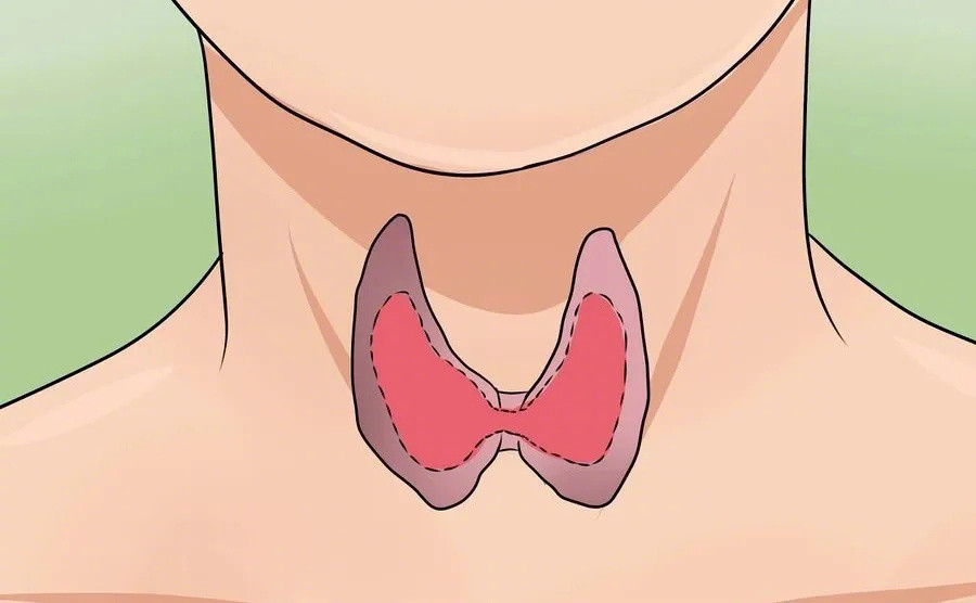 硬核研究所【甲状腺出现癌变时的6个信号】随着检测手段的进步，以及不良生活因素的