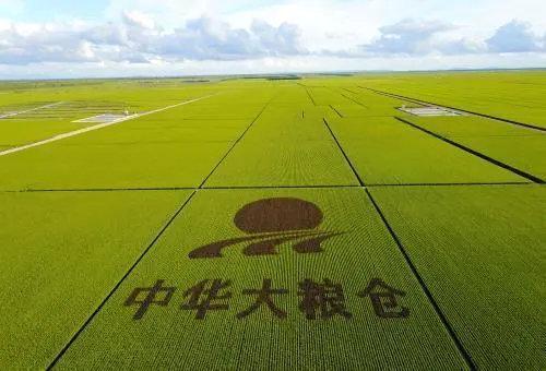 论种地，俄罗斯给中国提鞋都不配。你知道吗，我们黑龙江省一年的粮食产量，就相当