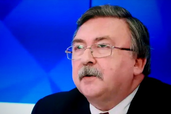 美以这手伸得太长，核电站也敢动？俄罗斯人把话挑明了俄罗斯那边在维也纳的代表，