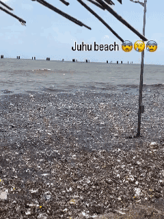 此为孟买的海滩。在很多人直观感觉中，印度似乎是没有垃圾处理系统。但实际上，印度政
