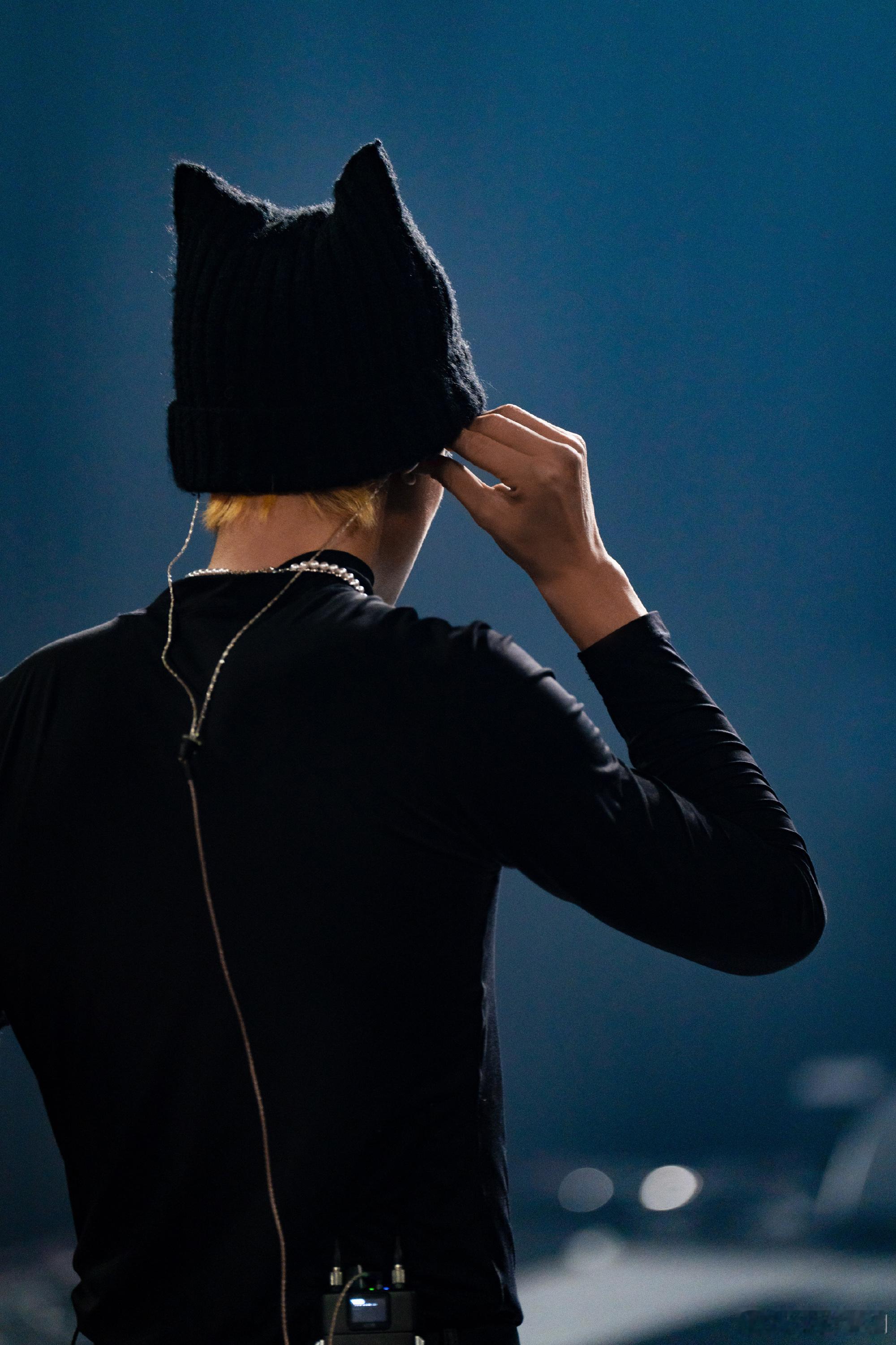 王鹤棣2026D.PARTY演唱会加载进度条拉到80%！舞台氛围感直接拉满，猫