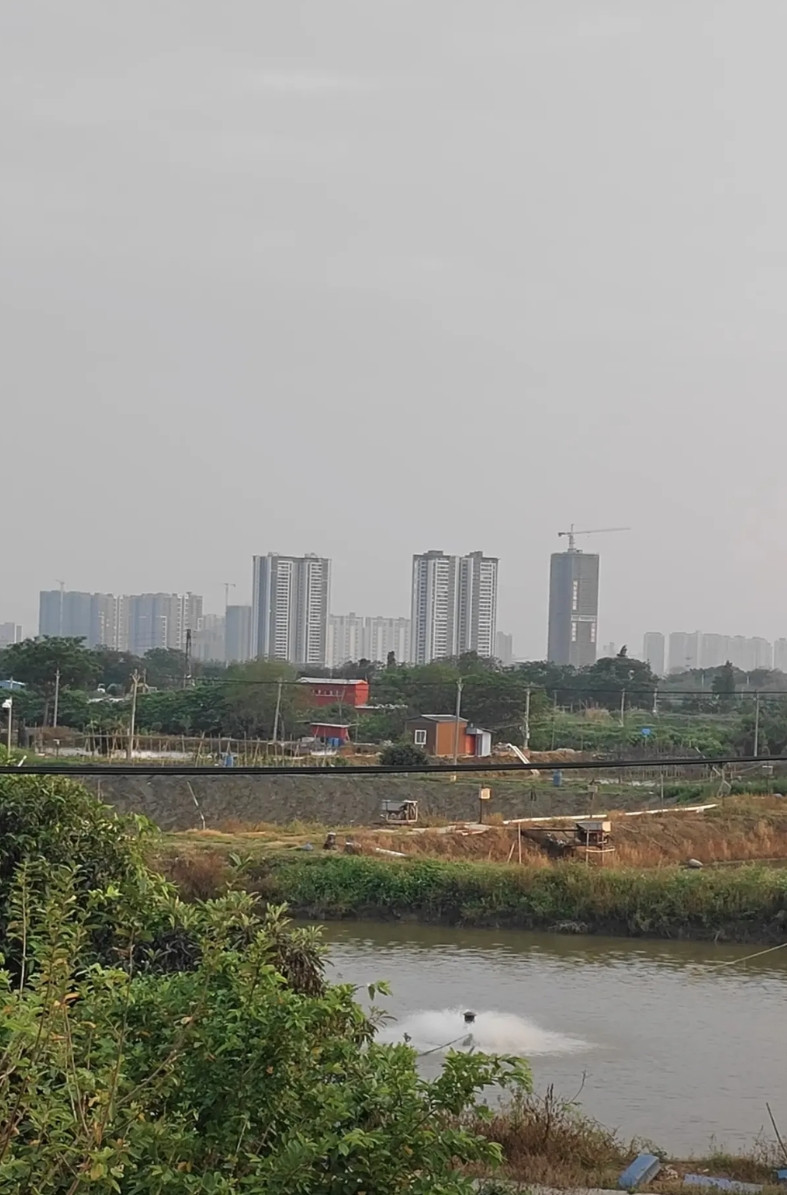 我比你们更恼火，我的移动号码已用20年了，当初办的是39元套餐，慢慢地变成59，