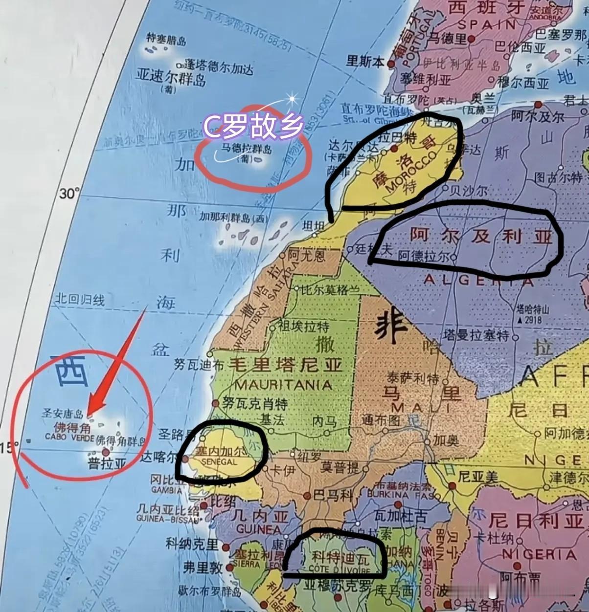世界杯的最大成功者是法国，一共派出了7支代表队参赛，分别是法国、摩洛哥、阿尔及利