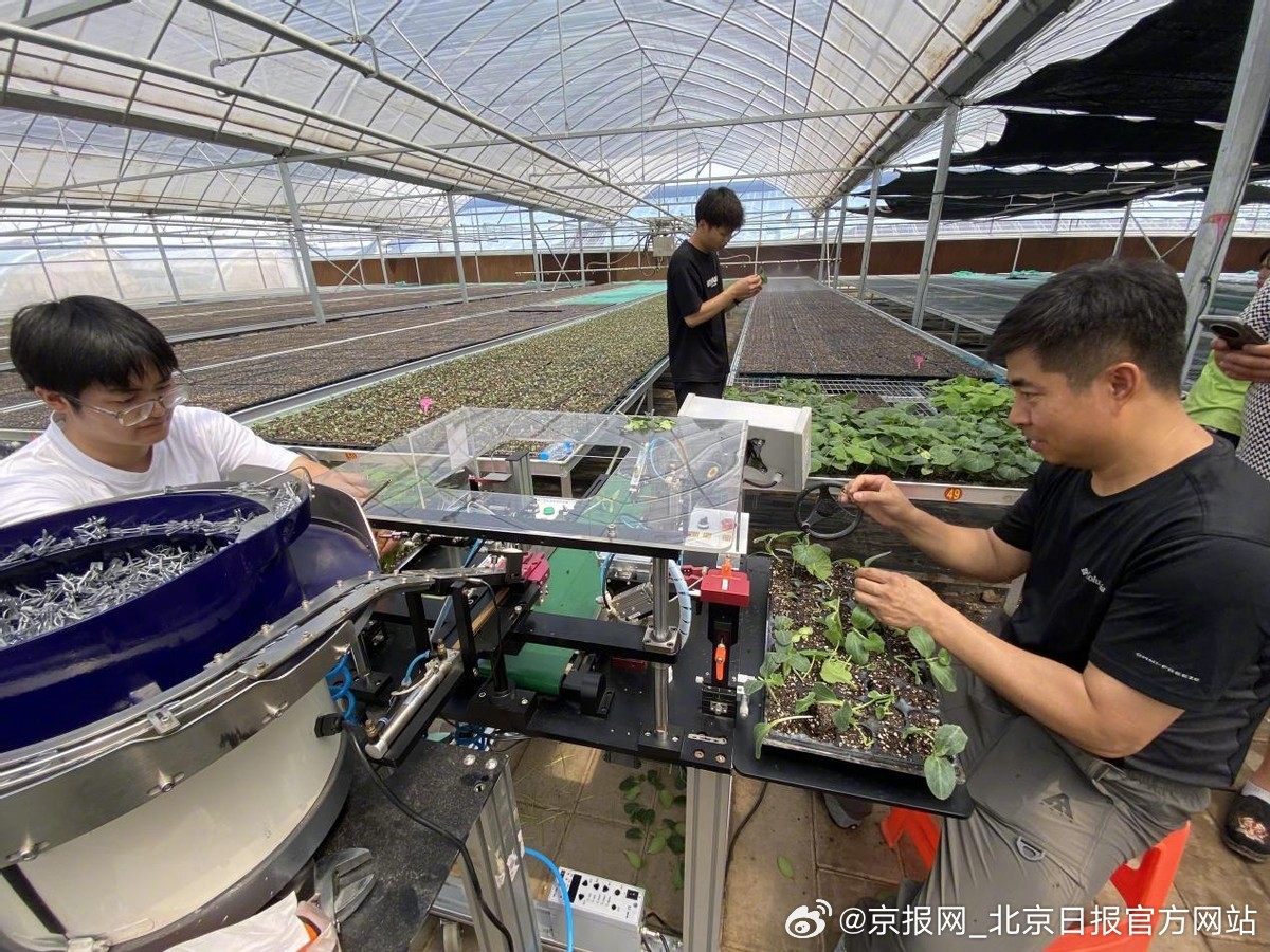 机器人巡田、AI管地：智慧农业点亮北京丰收节！