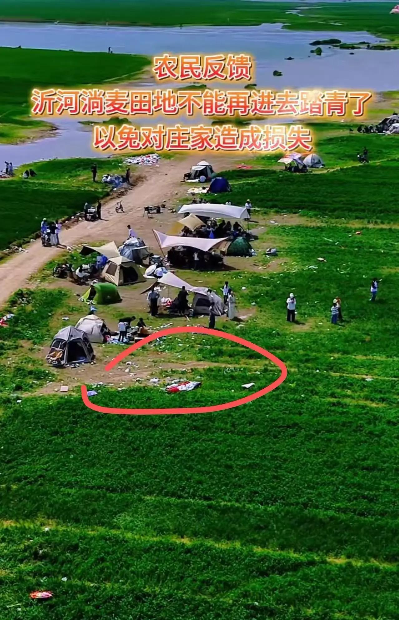 怒了！江苏沭阳城里人肆意踩毁麦田，农民被逼挖路维权，反被怼：你就是个种田的！