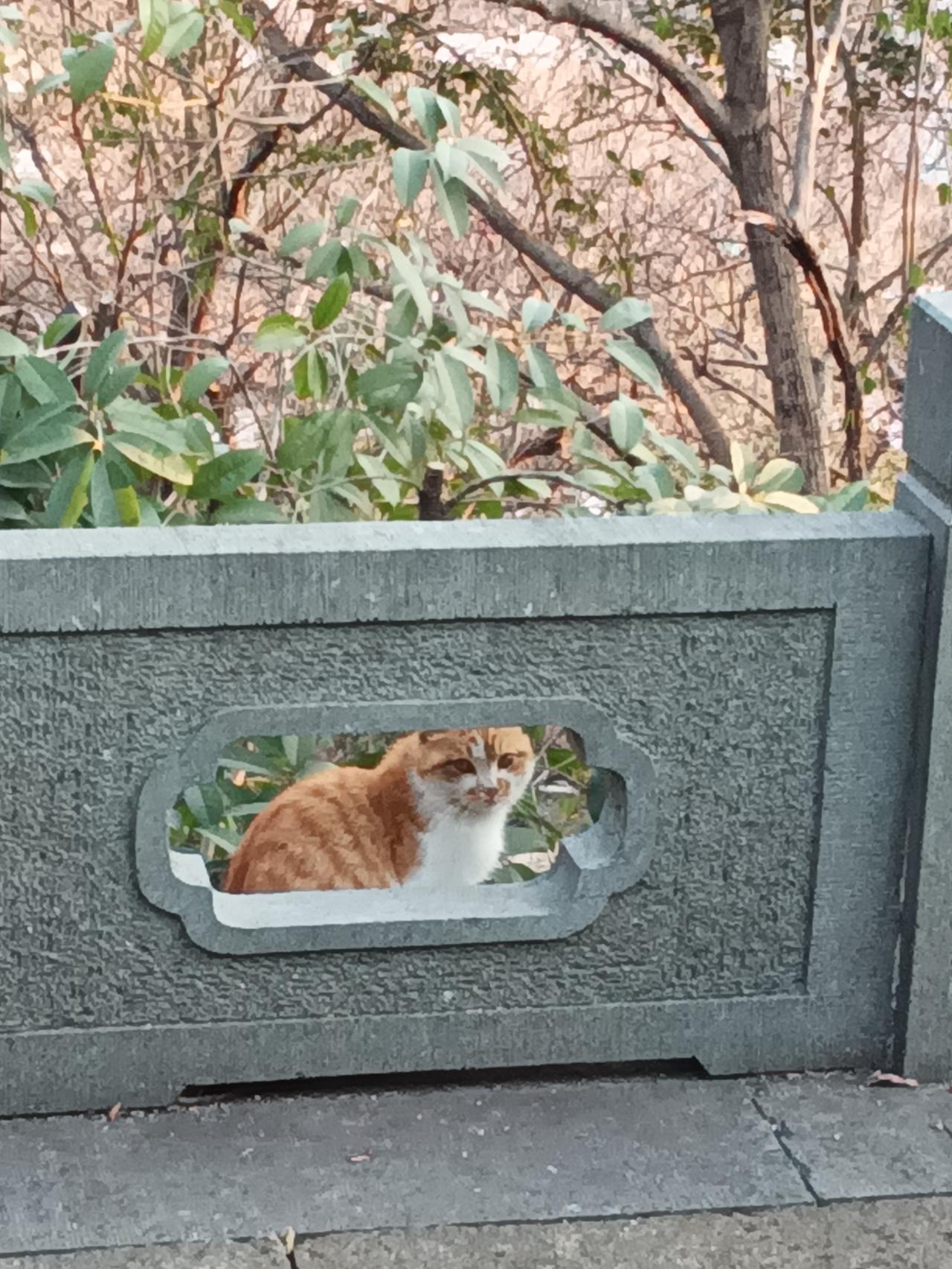 原创，手机摄影