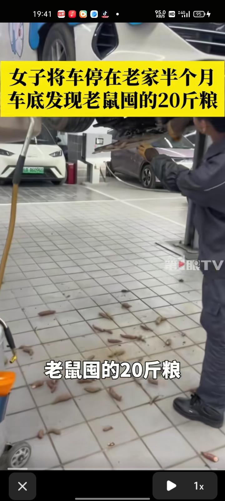 3月4日，广西贵港。梅女士分享了自己的经历，她把车停在农村老家半个月，某天在开车