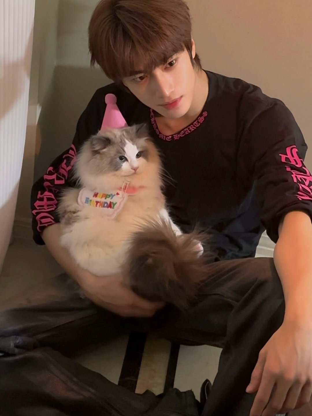 张康乐带猫绝育张康乐小猫的庆生礼物是绝育真的嘛，小猫的庆生礼是绝育哈哈哈