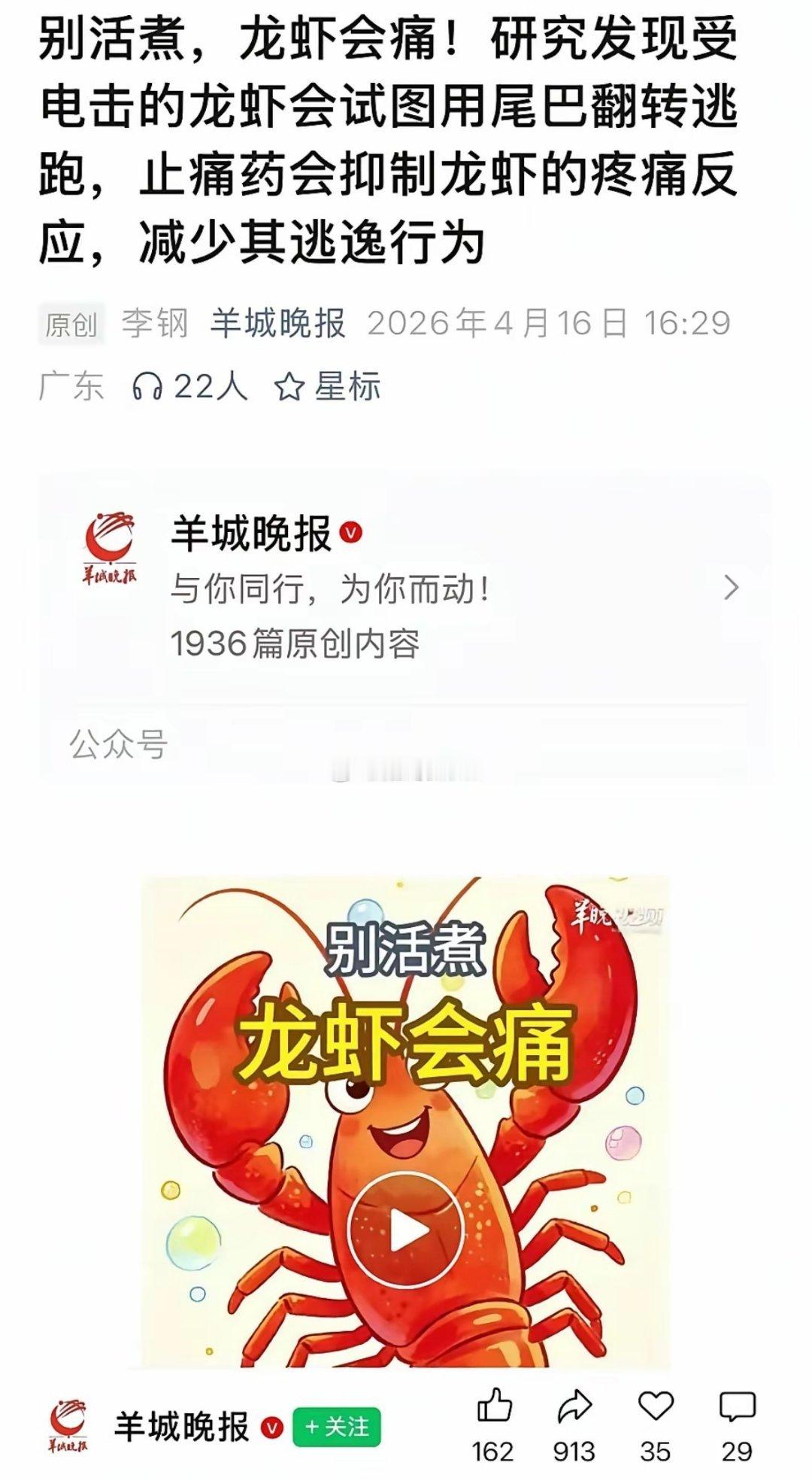 “别活煮，龙虾会痛”
