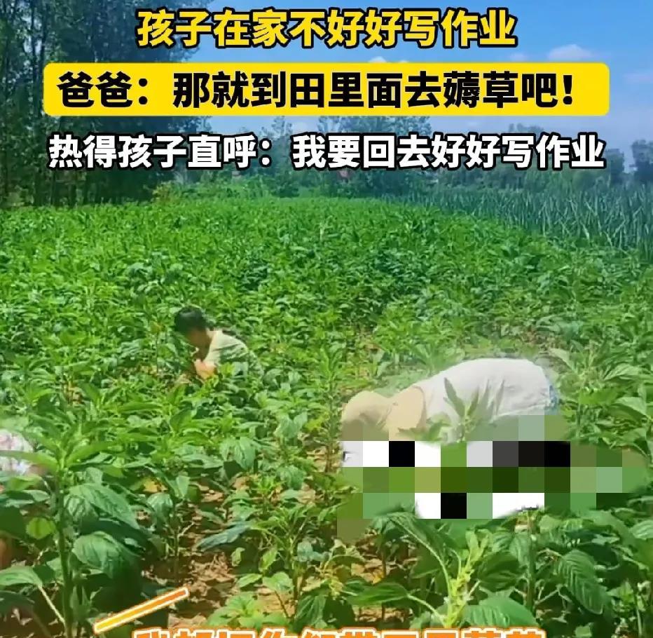 这下后悔了吧！安徽阜阳有个老爸，见娃暑假光玩手机不写作业，二话不说，拉到