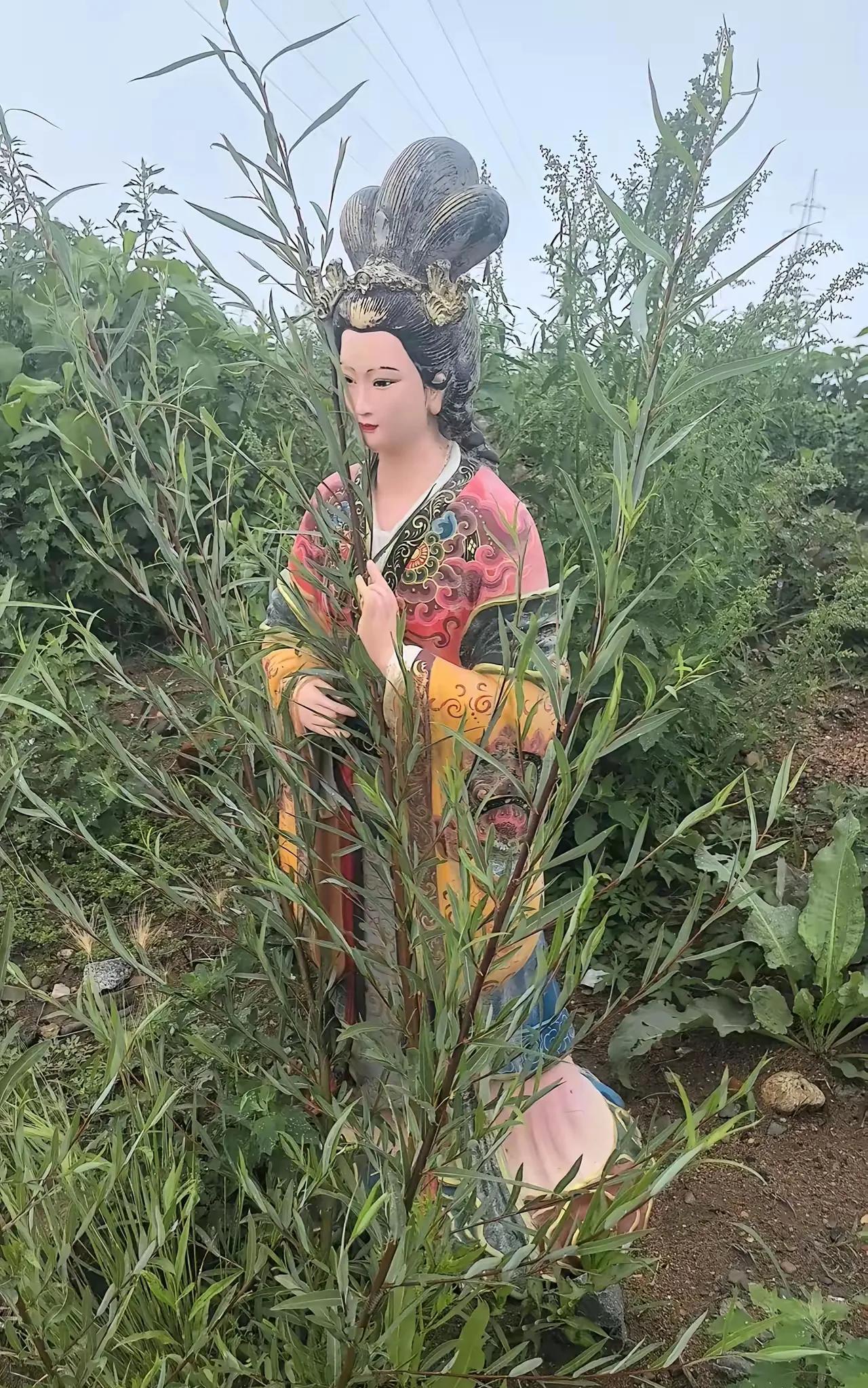 哎呦我去这要是大半夜看见不吓死才怪呢为啥放个美人放在地里啊[笑着哭]