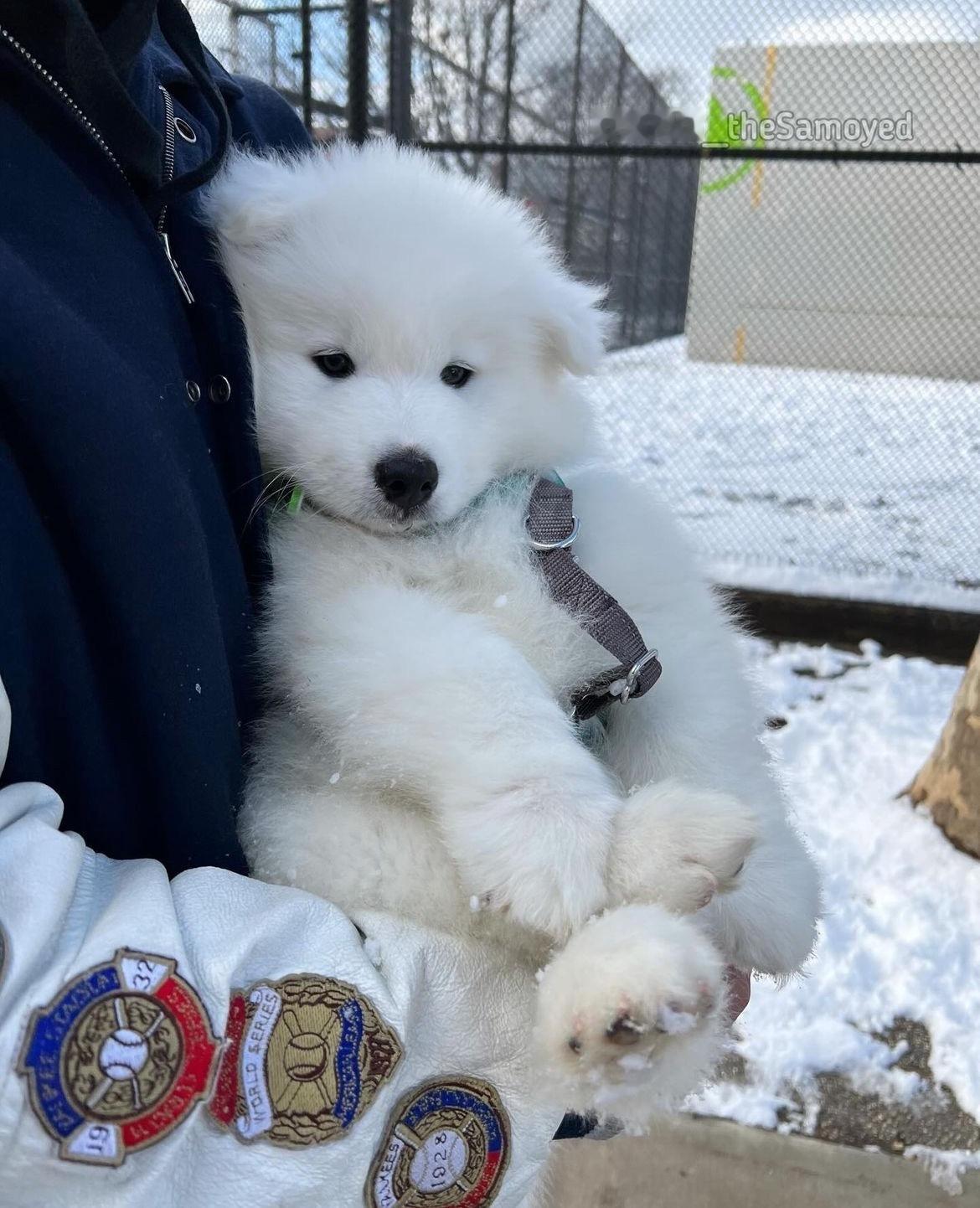 妈妈酱，脚脚冻，要抱抱