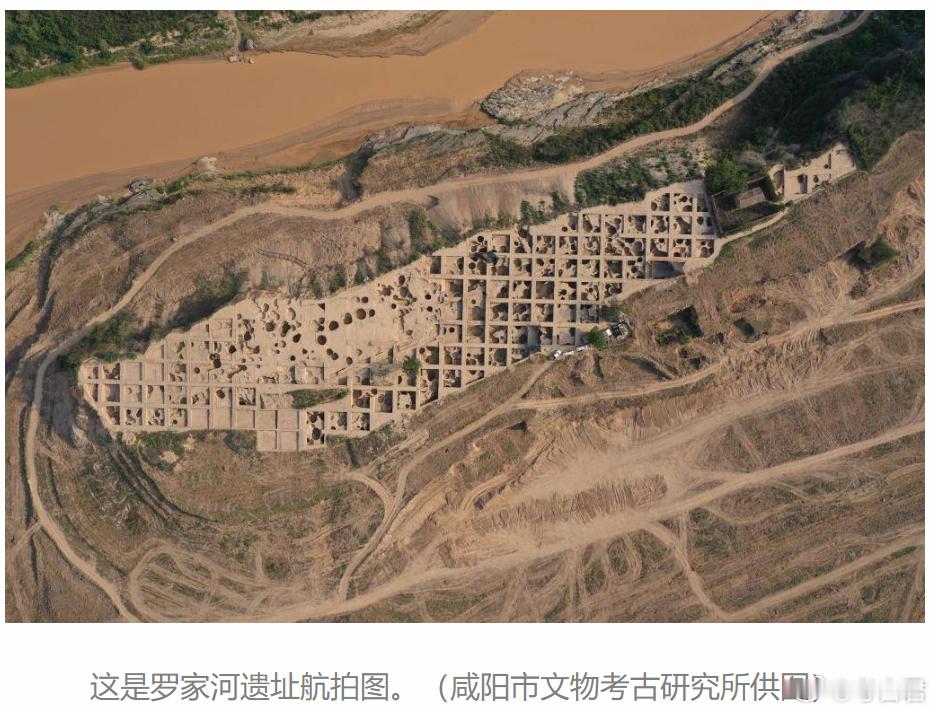 考古新发现罗家河遗址陕西罗家河遗址的发现，让我们得以窥见4800年前先民的智