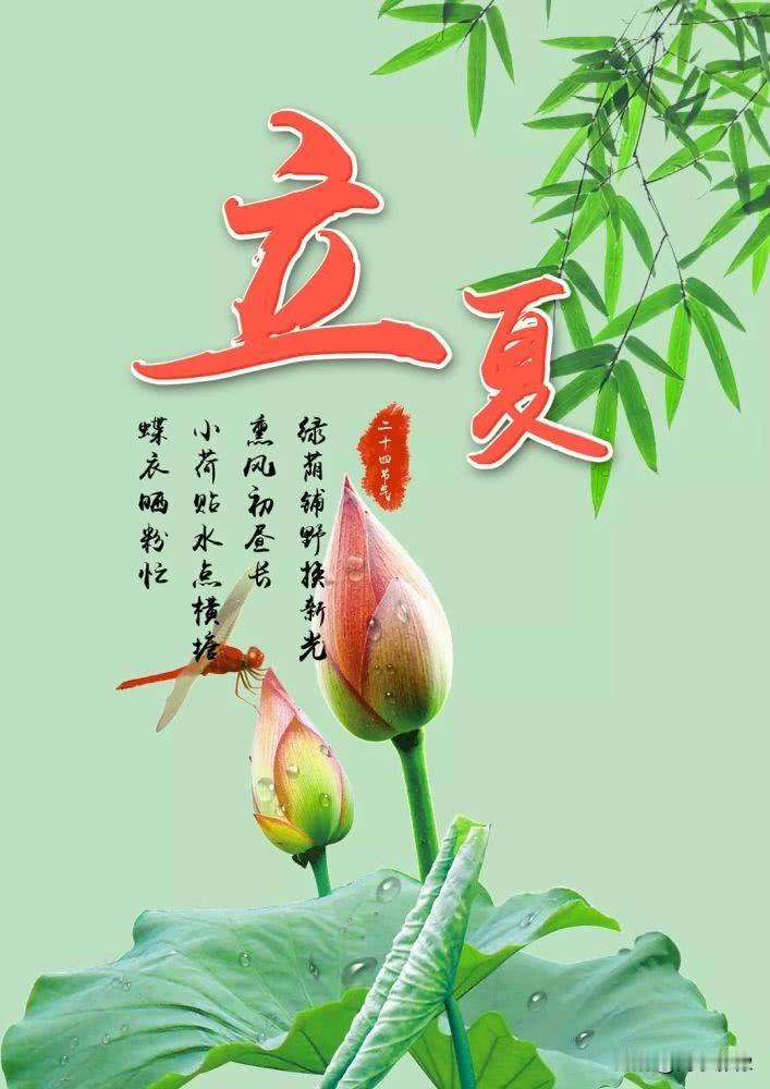 “立夏吃四宝，不往医院跑。”这句话，你肯定听过。但如果你问我：**“四宝”到