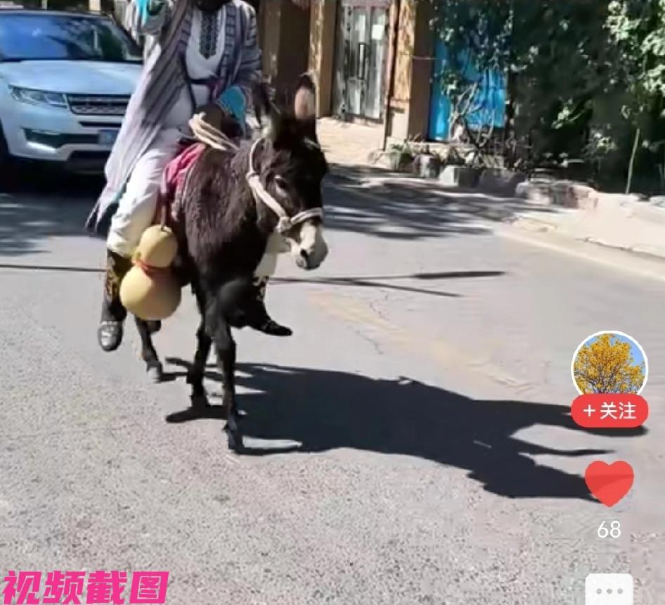新疆有游客一路游玩里，突然在游玩的路途中看到自己熟悉的一幕，阿凡提大叔，熟悉的记