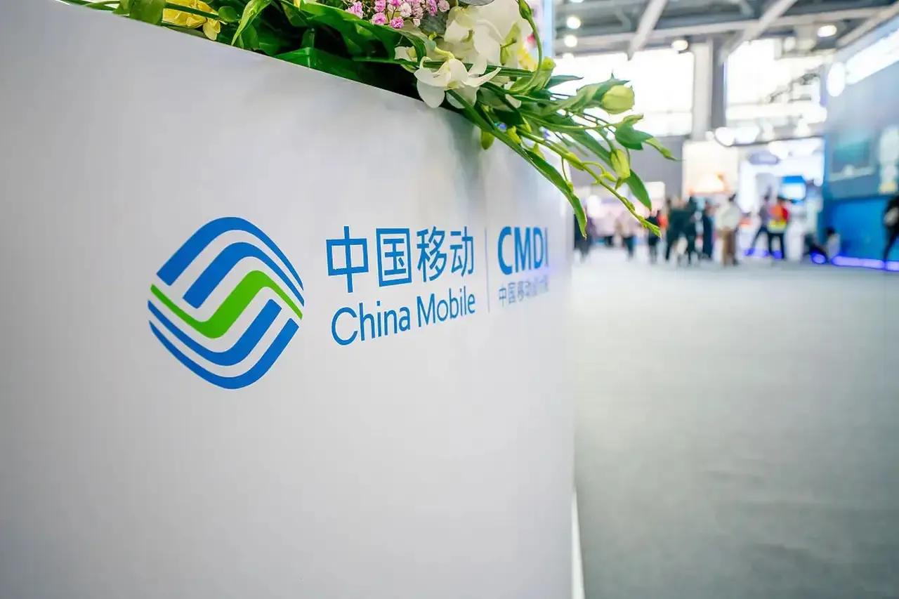 马云没想到，马化腾没想到，中国广电张文晨没想到，中国电信王晓初没想到，中国联通董