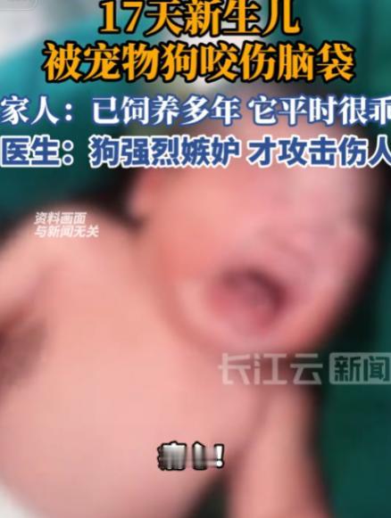 “养不熟就炖熟！”7月13日报道，浙江，一对小夫妻养了多年的狗狗平日里温顺听话，