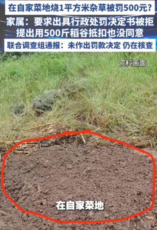 河南一女子，身患重病，只能在家修养，为省点买菜钱，就在自家菜地种菜自给自足。谁承