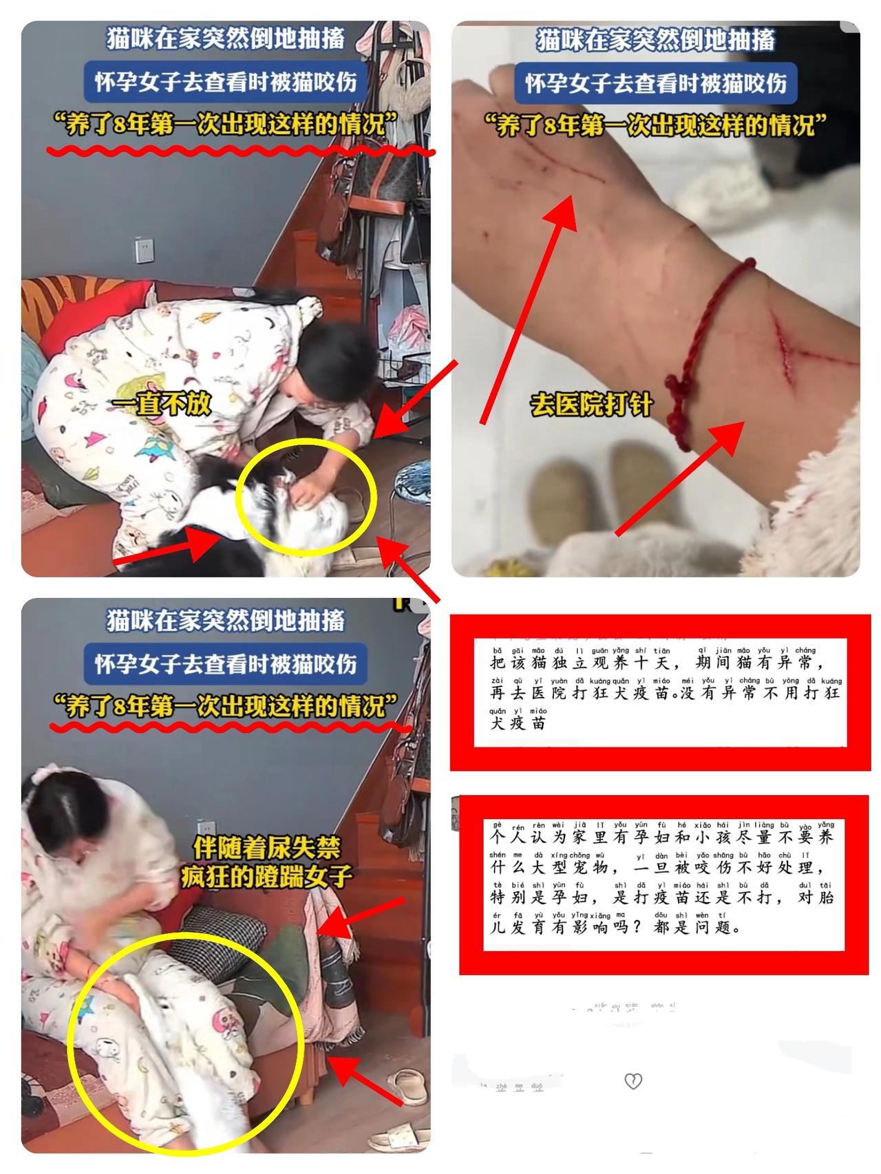 养了8年的猫突然“失控”咬伤孕妇!家有孕童养宠,这些风险真不能忽视河南一怀