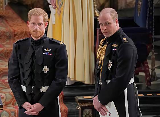 威廉和哈里，真的只能是陌路吗？对于哈里而言，还真不一定，只要他愿意回头，当哥哥