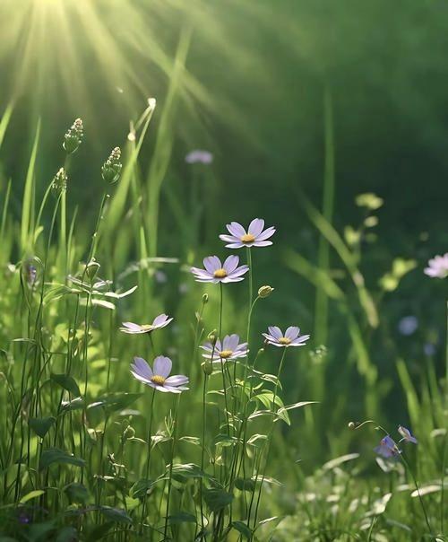 古人说，上善若水。古人从不骗人，古人的话是千真万确、颠扑不破的真理。可是即