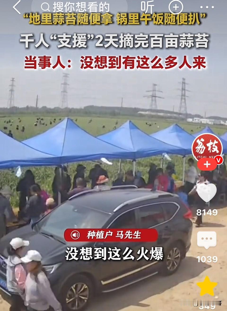 江苏徐州，蒜农种植100亩大蒜到了抽苔期，雇人来干连本钱都回不来，于是他想了一个