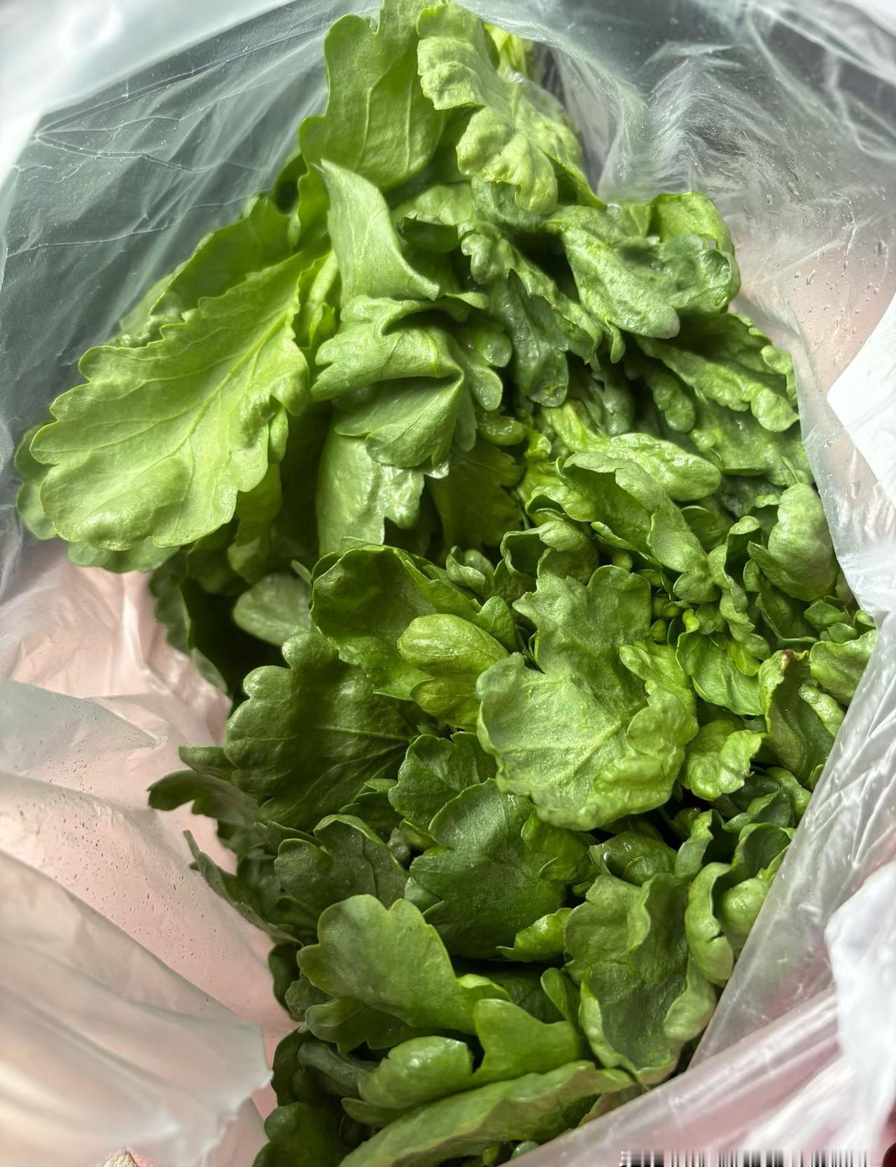 停水七天，攒的一缸水一天被公婆洗院子、冲厕所霍霍光，转头一句“腰不行，你年轻去挑