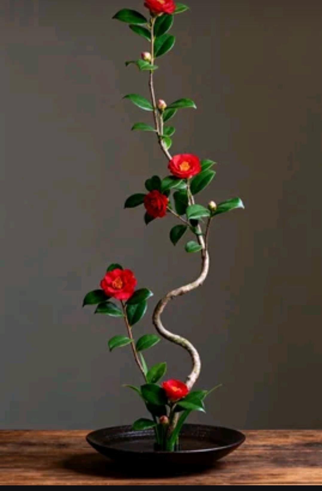 婚姻扎心真相：我想成家，你只想盘算——谁在真心奔赴，谁在冷血透支？