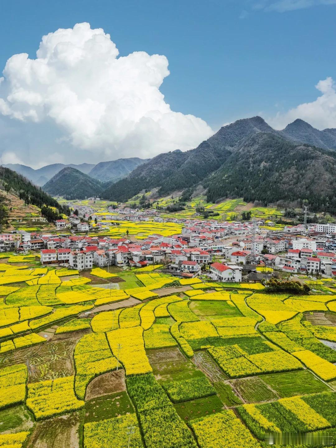 盛夏追光之旅微博旅行ing陕西汉中被群山密林环抱，把盛夏的燥热挡在了外面，这里常