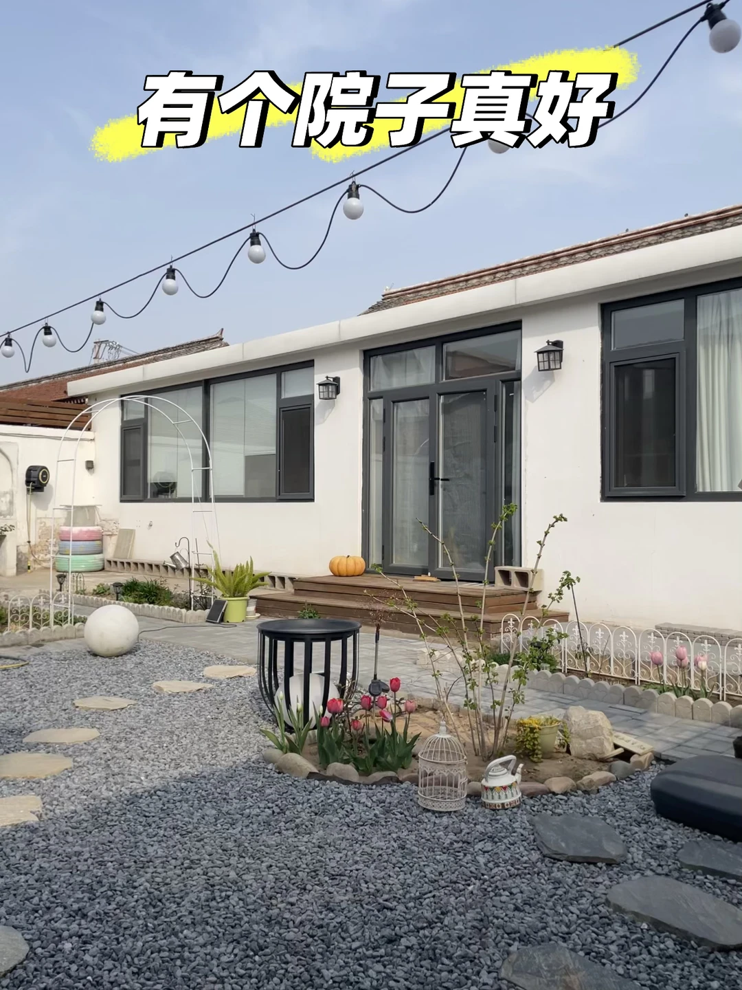 离开我的院子一周，发现外面的世界好苦啊！