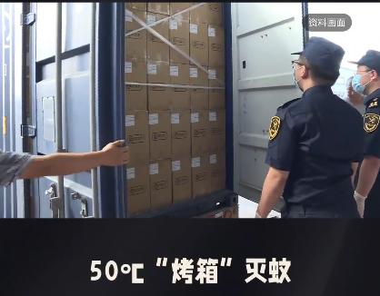 又是美国，又是病毒，这次不是实验室，是一整船“带毒蚊子”直接开到中国宁波！
