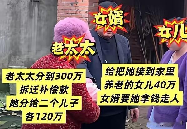 老太太是乡下人，在女儿家，寡居很多年了，大概有十五年吧，一直住在女儿家，经济上靠