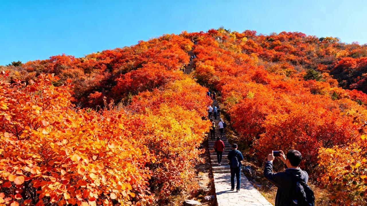 华北的秋天这样玩华北的秋,是打翻了调色盘的惊艳,每一处都藏着独有的浪漫。