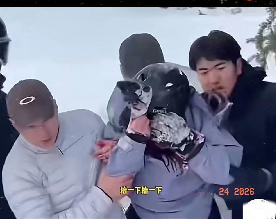 新疆阿勒泰滑雪女子被雪豹咬伤，这事看着惊心，实则早有预警！说到底，这根本不是雪豹